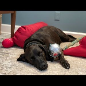 Meet your Posher, Jill